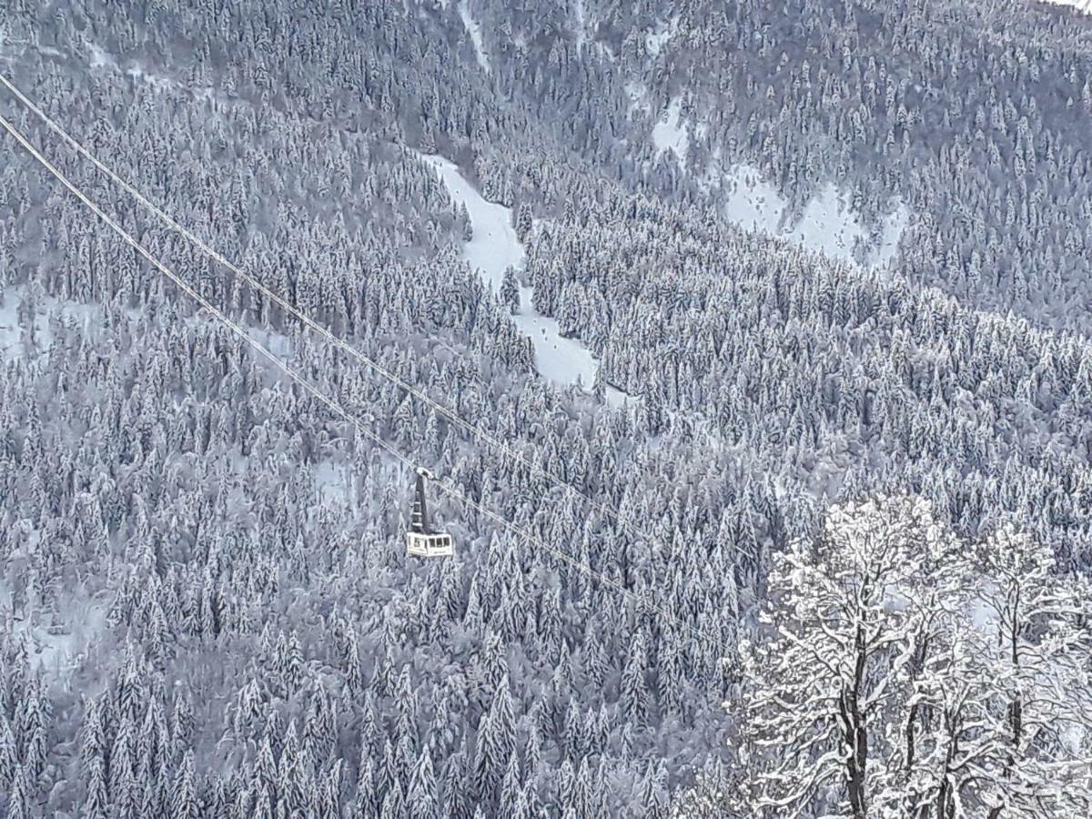 L'Aigle Royal Appartement Vaujany Buitenkant foto